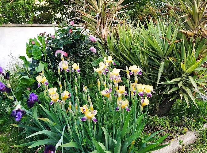 Bed and breakfast Modes Et Café 3*